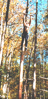 DAPP officer jumps for the bar in high ropes course.