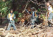 Inmates clean Lake James for Big Sweep 2003