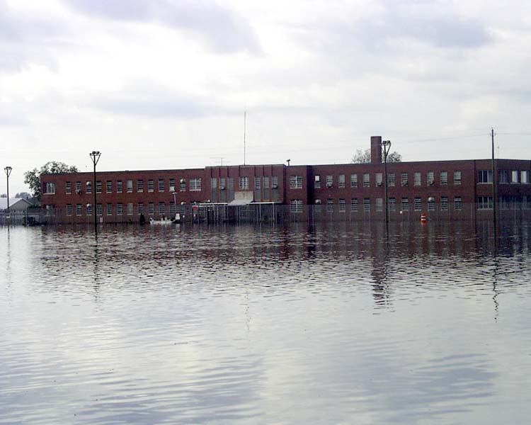 WayneCI-2.jpg (53782 bytes)