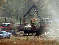 Clearing trees at Scotland site