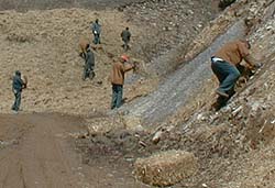 Inmates working on Little Pisgah Mountain