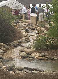 Garden stream